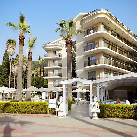 Sea Star - Adult Only