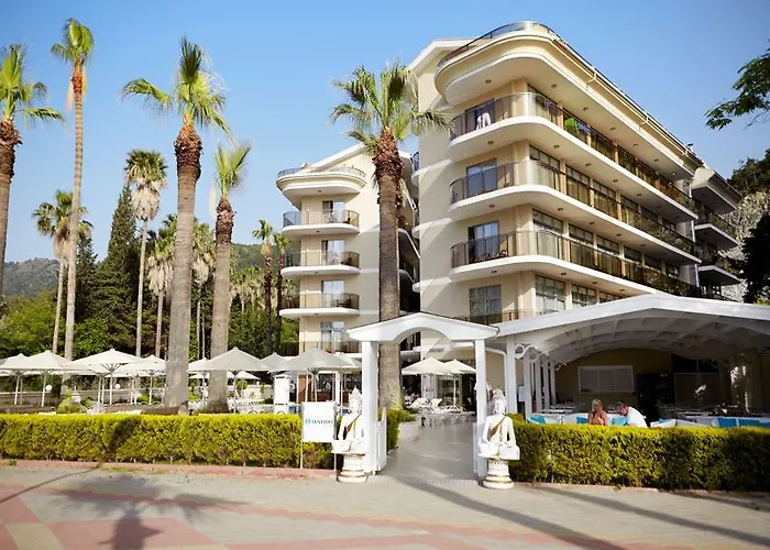 Sea Star - Adult Only