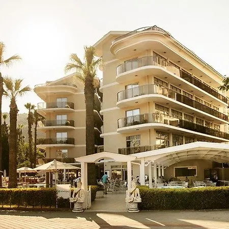 Sea Star - Adult Only