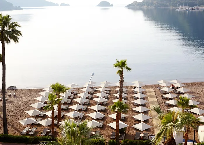 Sea Star - Adult Only