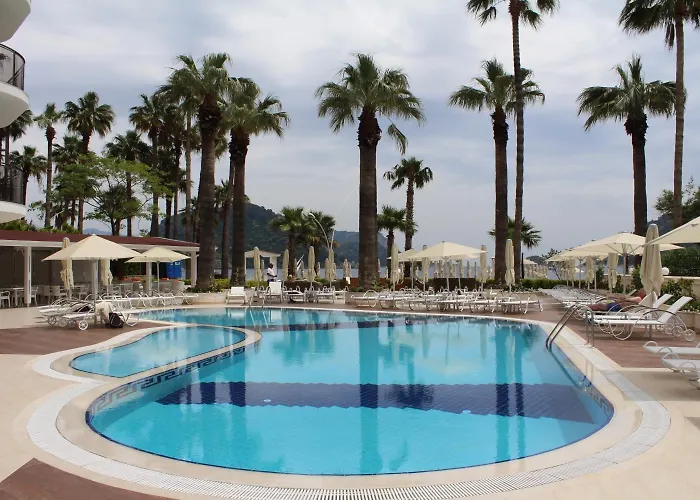 Sea Star - Adult Only